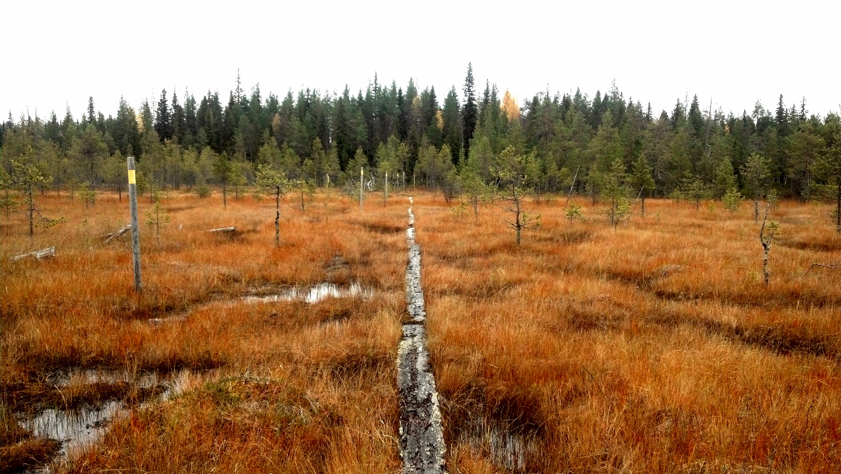 Näkymä Hossan rajavyöhykkeeltä