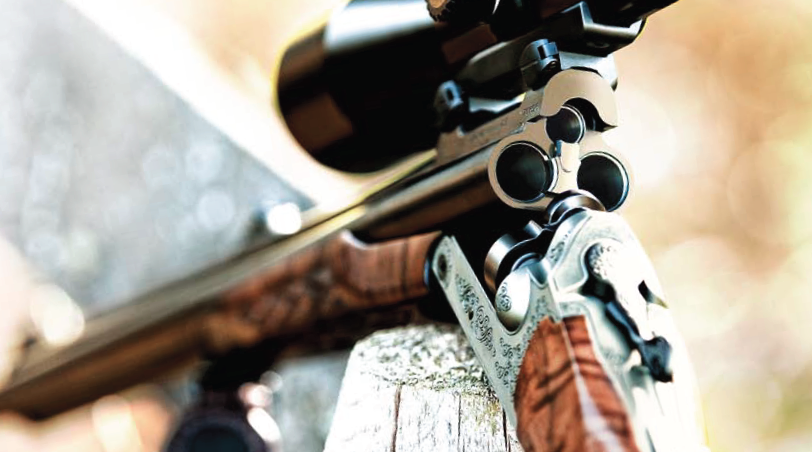 Blaser d99 brochure image