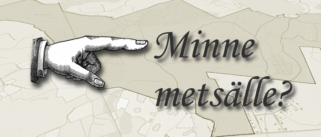 Minne Metsälle