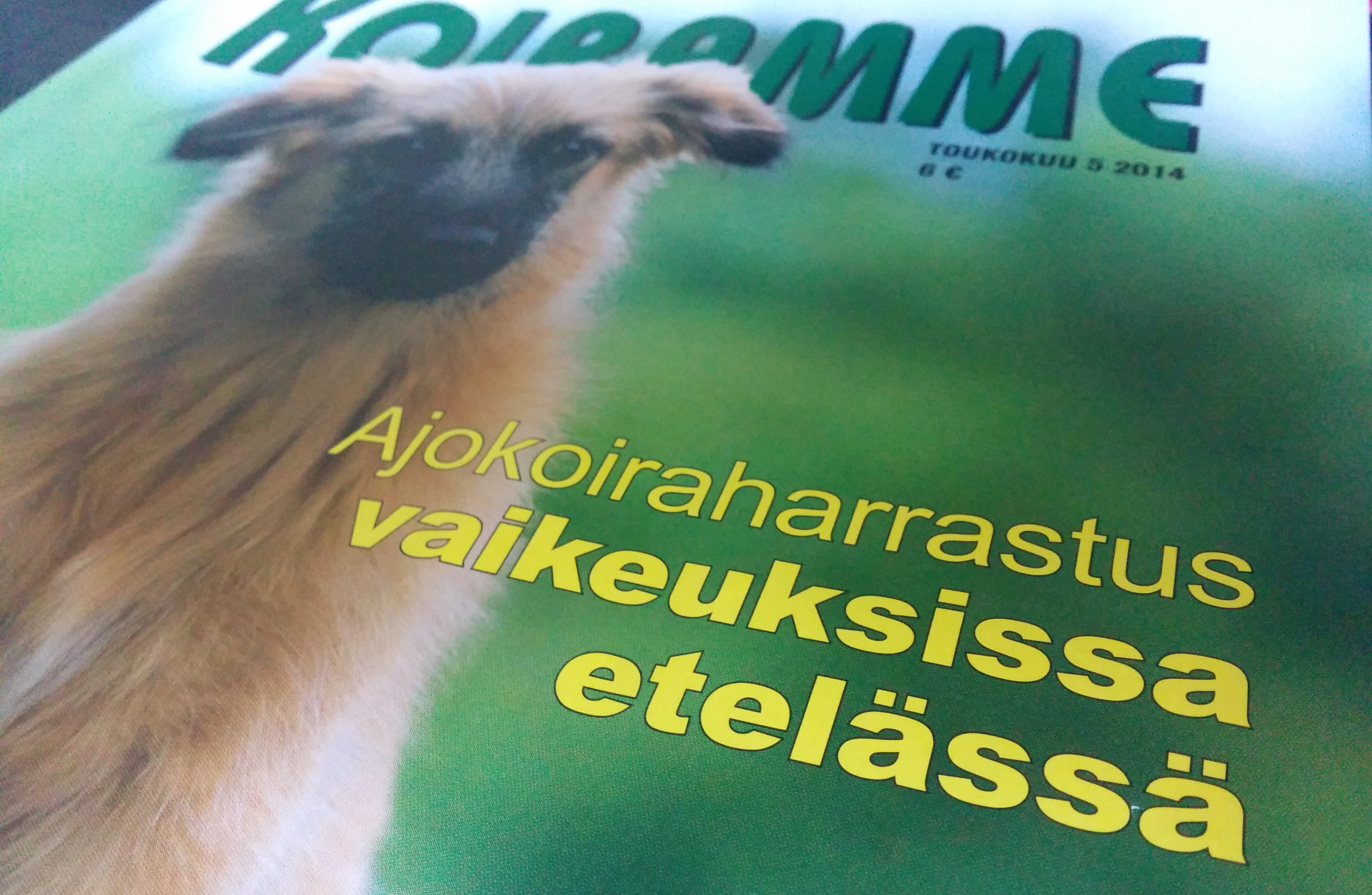 Koiramme-lehti 5/2014: Ajokoiraharrastus vaikeuksissa etelässä