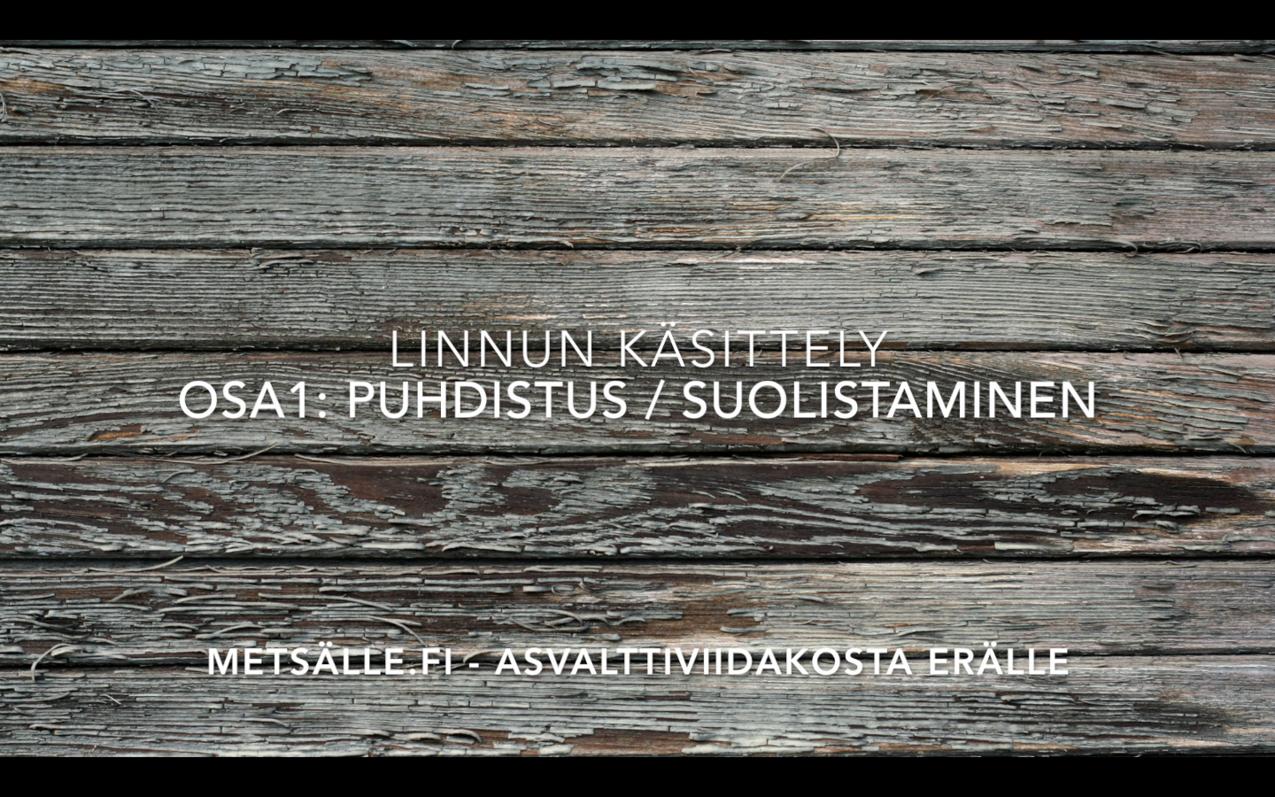 Video: riistalinnun käsittely