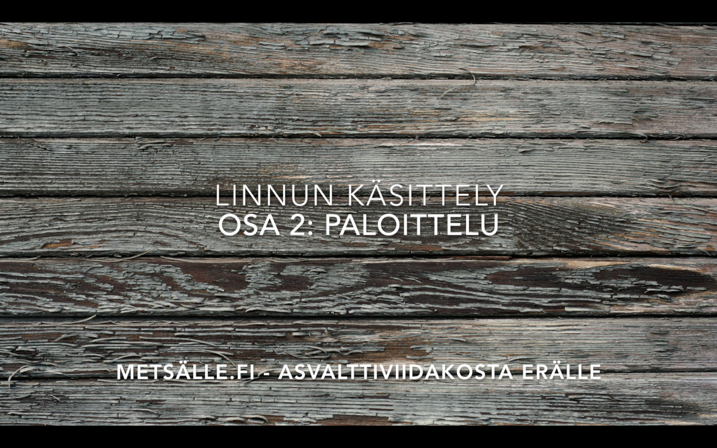 Video: riistalinnun paloittelu