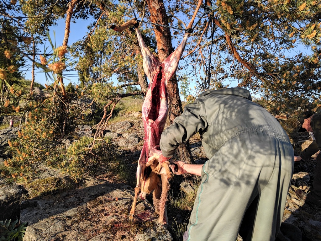 Nylkyhommat hoidettiin paikan päällä