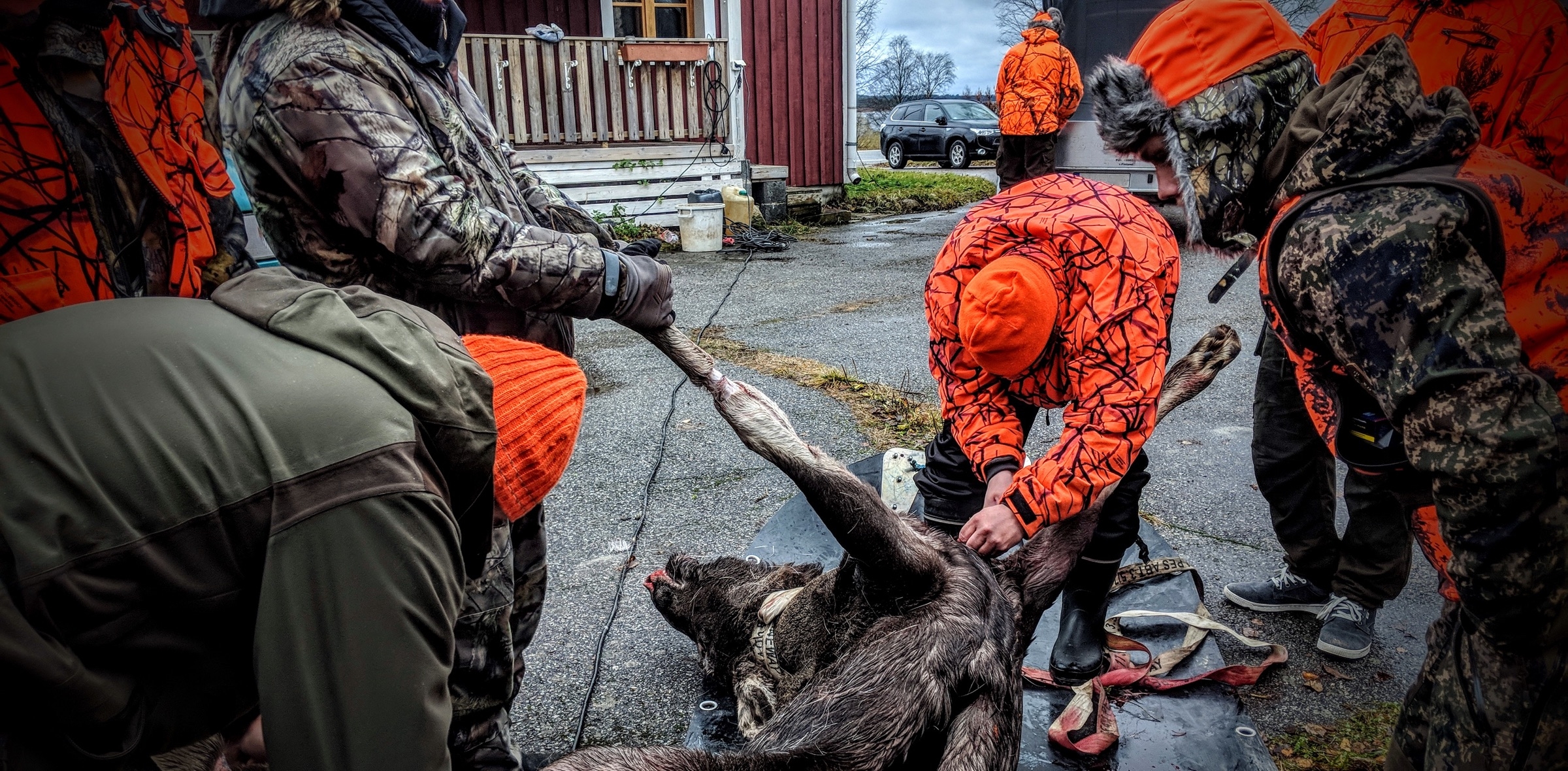 Hirvimetsällä vuonna 2018