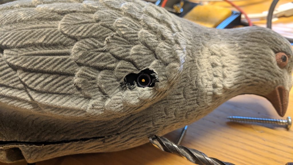 Siiven paikka löytyy tuurilla