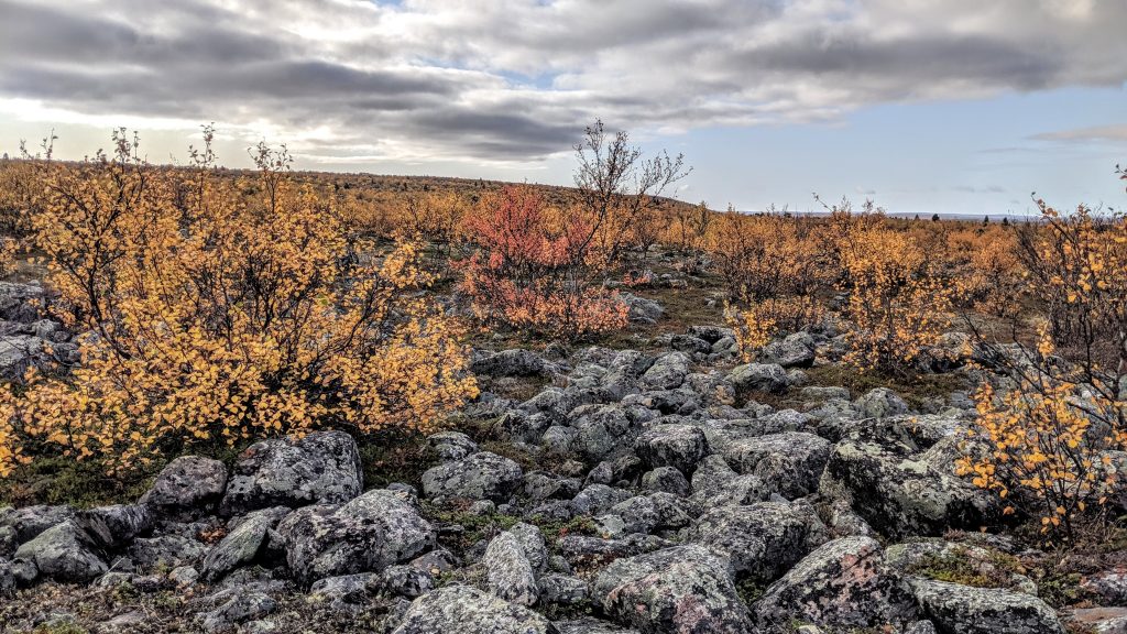 Karut ovat maisemat – kivikkoja tosin aika satunnaisesti