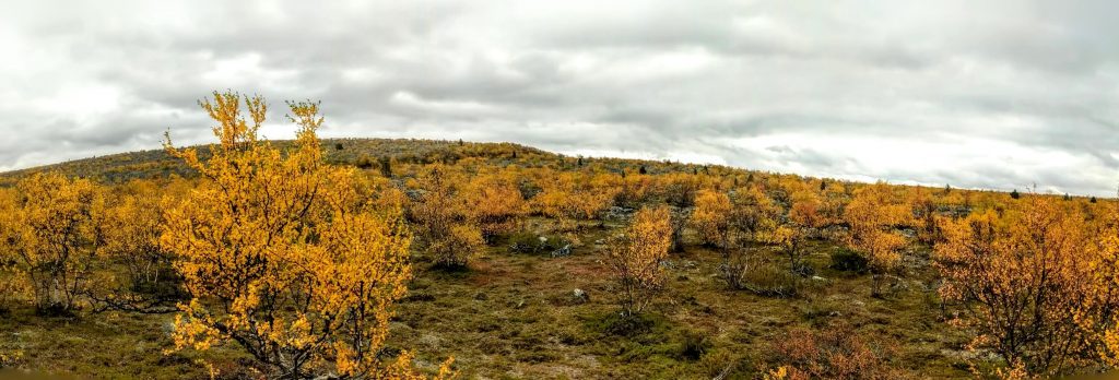 Ruskaiset maisemat tuskaisen nousun jälkeen
