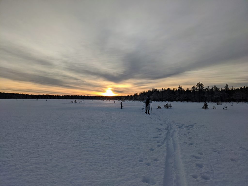 Latvalintujahti hiihtäminen horisontti auringonlasku
