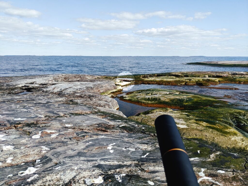 Harmaahylje makaa 30m päässä hylkeenpyytäjästä