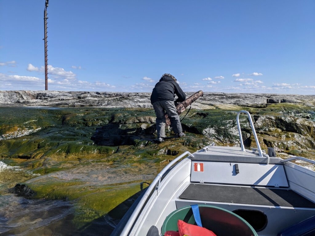 Metsästäjä rantautuu kiväärin kanssa