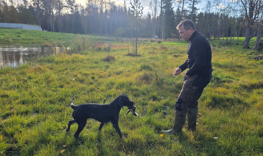 Koira tuo lintua miehelle lammikon vieressä