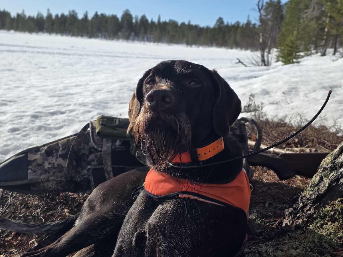 Saksanseisoja tauolla Vätsärissä